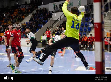 contactos granollers|granollers handball.